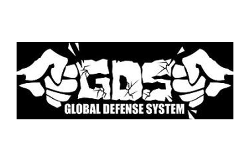 GLOBAL DEFENSE SYSTEM